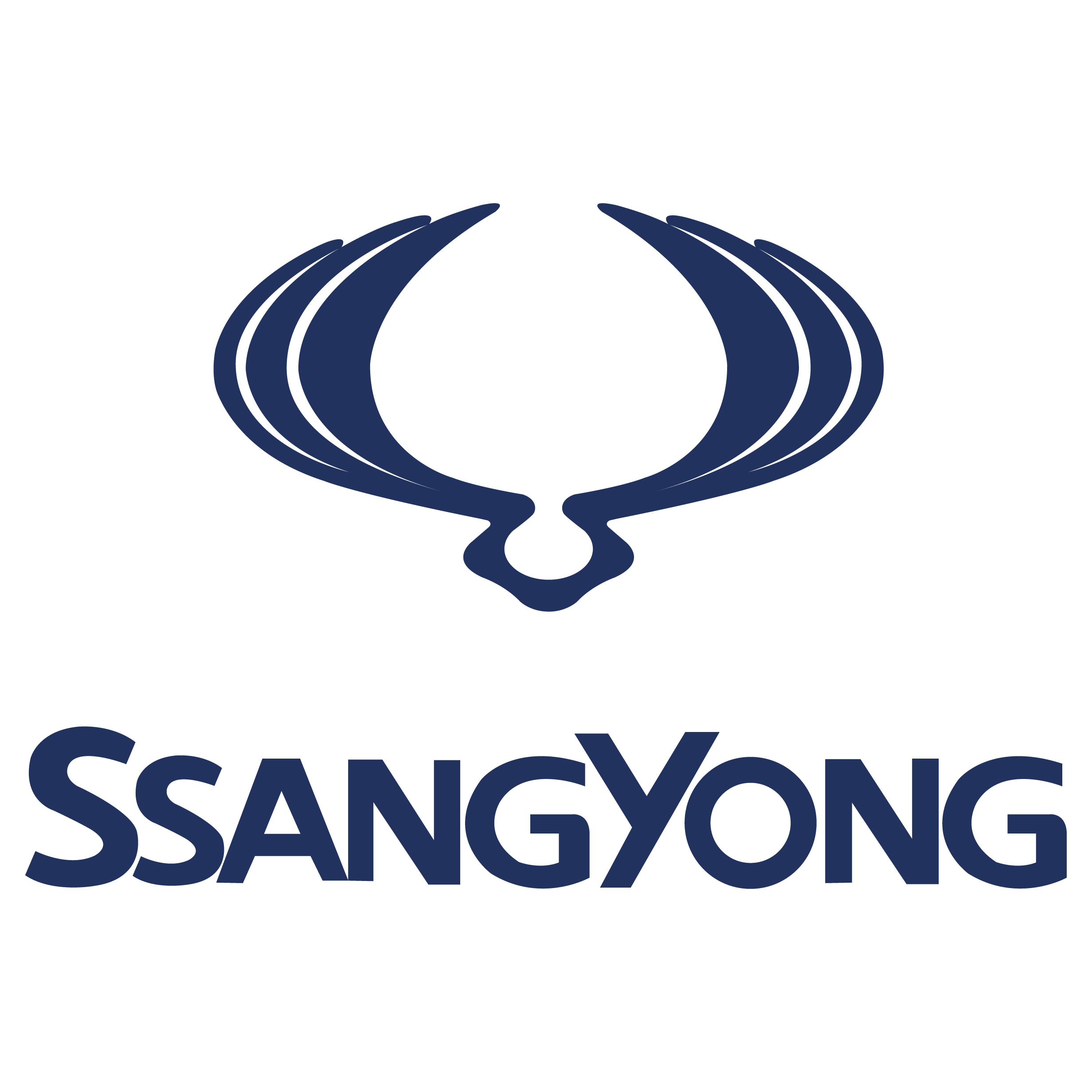 SsangYong